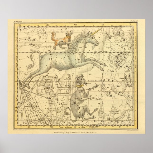 Poster Canis Major, Canis Minor, Monoceros, Argo Navis (Devant)