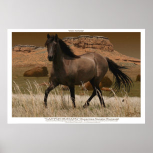 Poster CANYON MUSTANG Cheval Conservation Art Imprimer