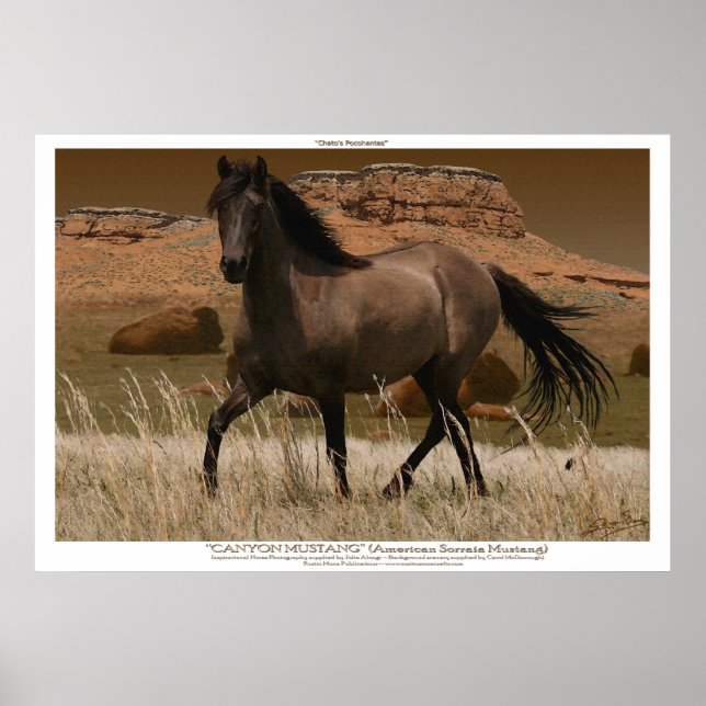 Poster CANYON MUSTANG Cheval Conservation Art Imprimer (Devant)