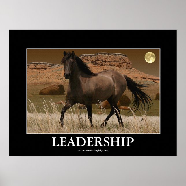 Poster CANYON MUSTANG Horse Conservation Art Print (Devant)