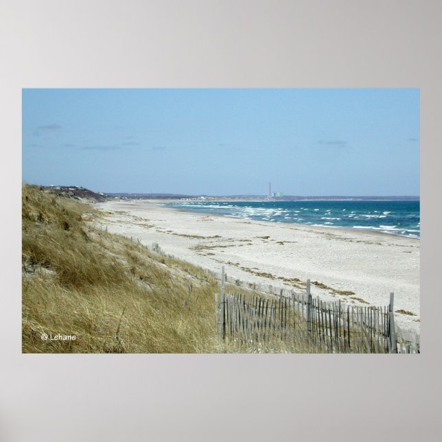 Poster Cape Cod Beach (Devant)