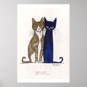 Poster Capitaine et Peter