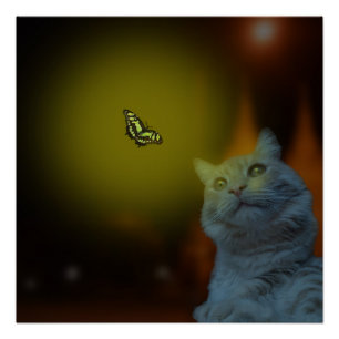 Poster Captivé par la beauté : Chat Mesmerisé par Papillo
