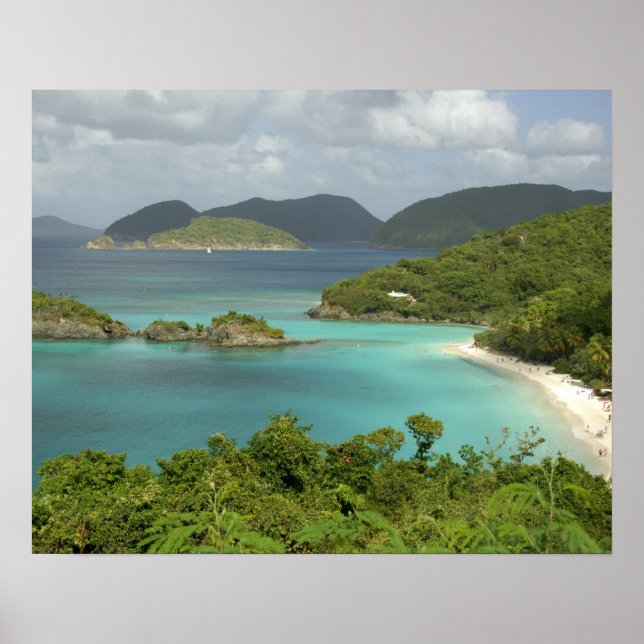 Poster Caraïbes, Îles Vierges américaines, St. John, Tron (Devant)