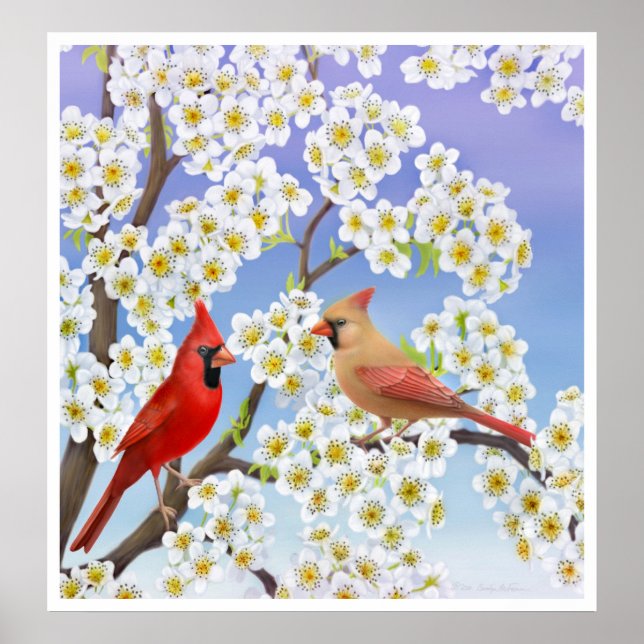 Poster Cardinal Couple in Apple Blossoms Print (Devant)