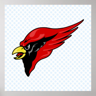 Poster Cardinal de Careem