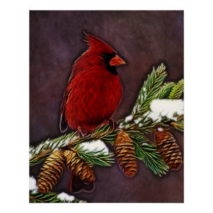 Poster Cardinal et Pinecones
