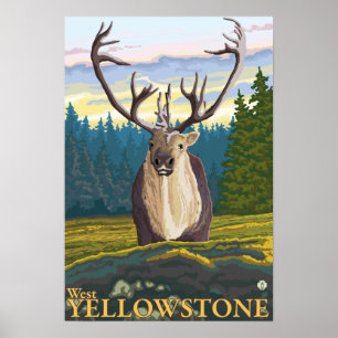 Poster Caribou dans le sauvage - Yellowstone occidental,