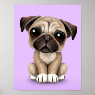 Poster Carlin bébé mignon Chien chiot sur pourpre