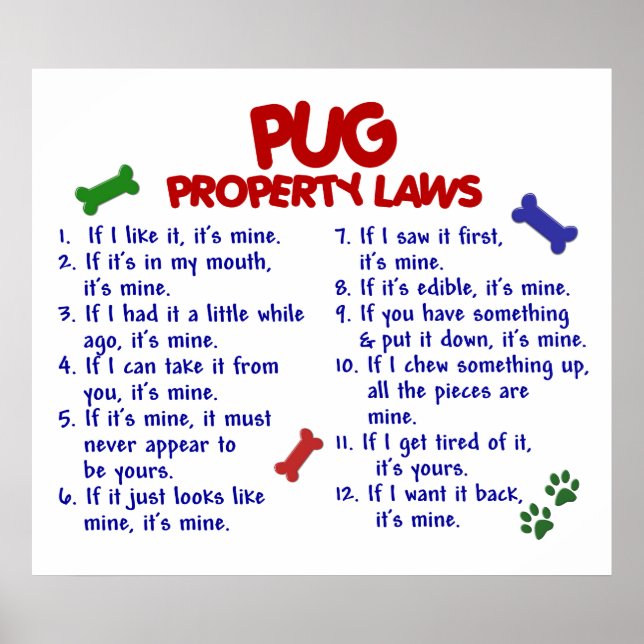 POSTER CARLIN PL2 (Devant)