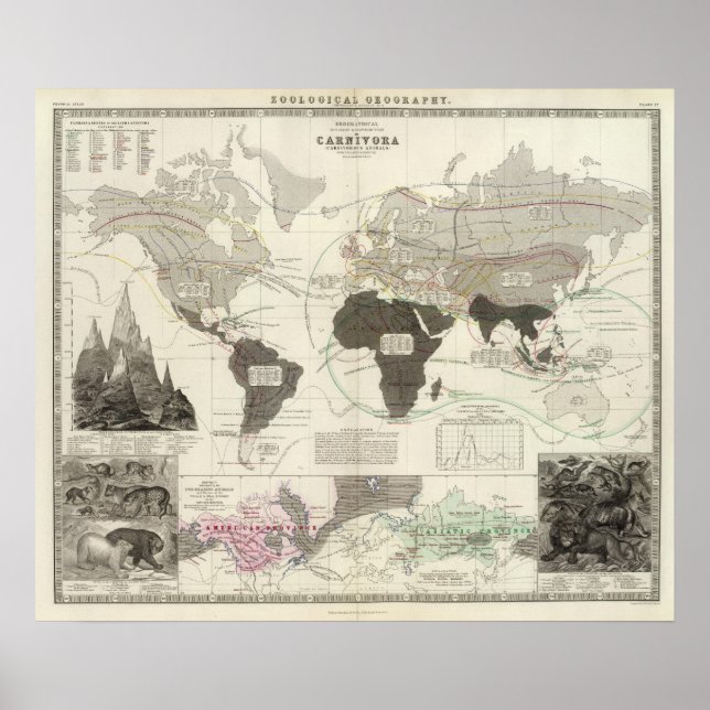 Poster Carnivora (Devant)