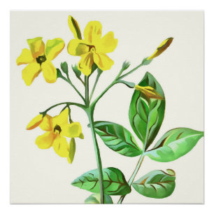 Poster Carolina Jasmine Botanique Art