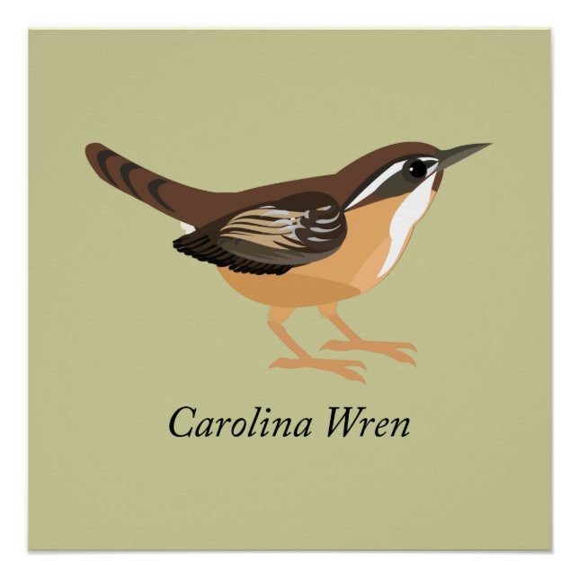 Poster Carolina Wren (Devant)