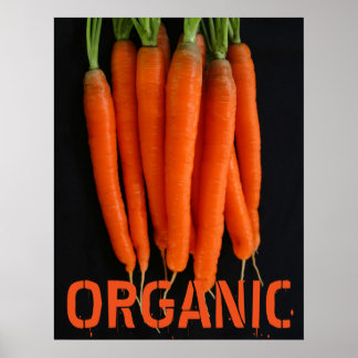 Poster Carottes fraîches du jardin