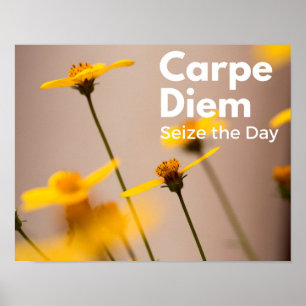 Poster Carpe Diem Saisir l'affiche du jour