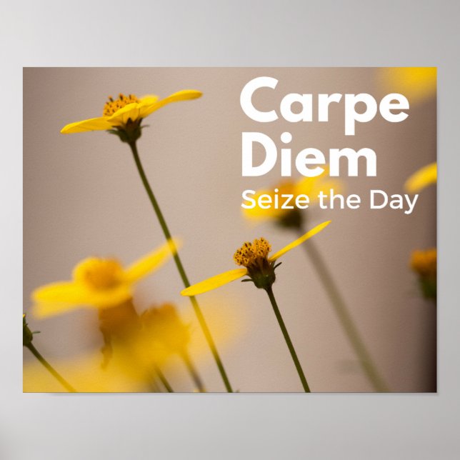 Poster Carpe Diem Saisir l'affiche du jour (Devant)