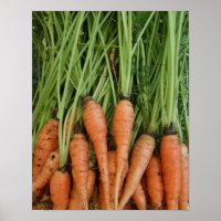 Poster Carrots