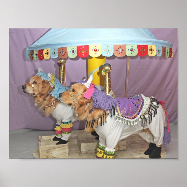 Poster Carrousel Golden Retriever (Devant)