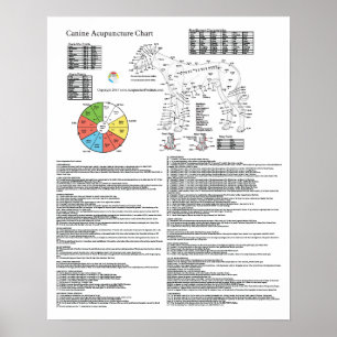 Poster Carte de l'acupuncture de l'acupuncture de chien