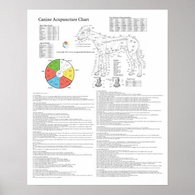 Poster Carte de l'acupuncture de l'acupuncture de chien (Devant)