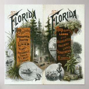 Poster Carte des cantons, Floride