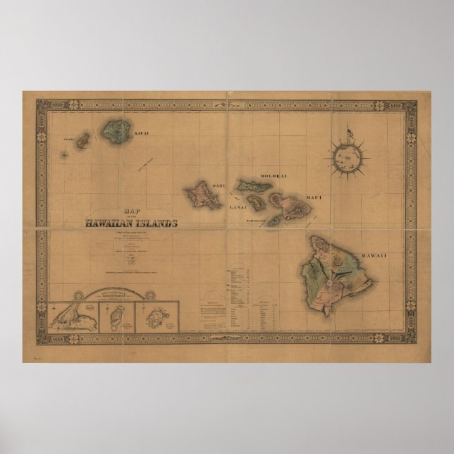 Poster Carte des îles Hawaï 1876 (Devant)