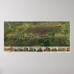Poster Carte des oiseaux de Houston, Texas (1891) réimpre