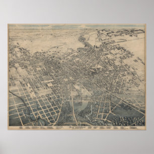 Poster Carte panoramique des yeux des oiseaux de San Anto