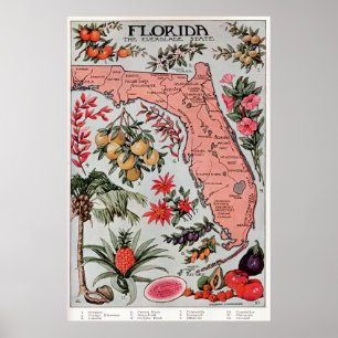 Poster Carte vintage de Floride (1917)