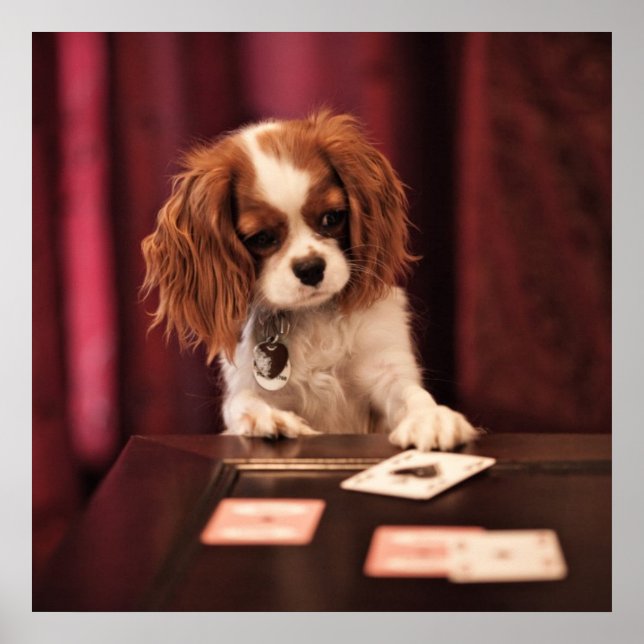 Poster Cartes de jeu de marionnettes (Devant)