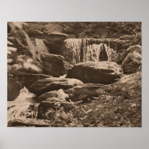Poster Cascade de la forêt dans la nature marron sépia