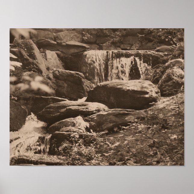 Poster Cascade de la forêt dans la nature marron sépia (Devant)
