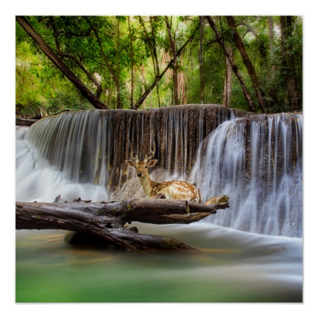 Poster Cascade d'Erawan avec des cerfs relaxants (Devant)