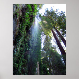 Poster Cascade et falaise