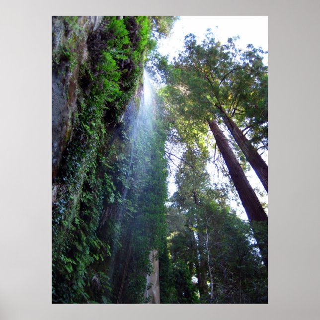 Poster Cascade et falaise (Devant)