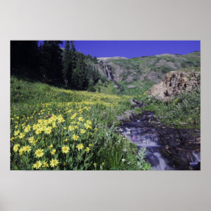 Poster Cascade et fleurs sauvages dans un pré alpin, 2