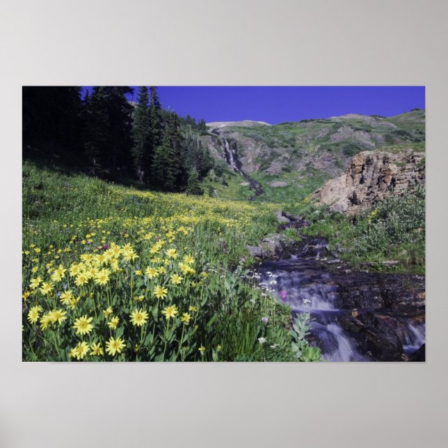 Poster Cascade et fleurs sauvages dans un pré alpin, 2 (Devant)