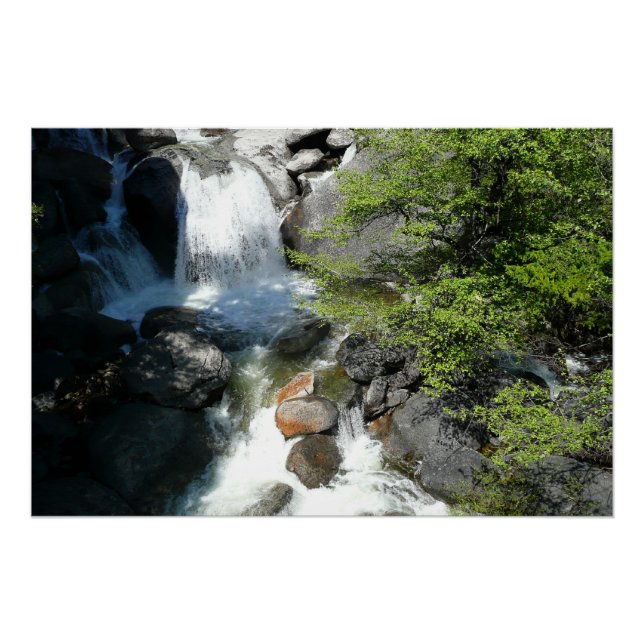 Poster Cascade Falls dans le parc national de Yosemite (Devant)