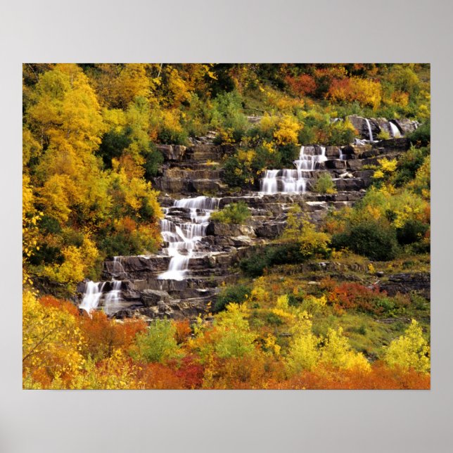 Poster Cascade sous le mont Cannon dans Glacier National (Devant)