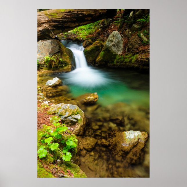Poster Cascade sur Hare Creek, Californie (Devant)