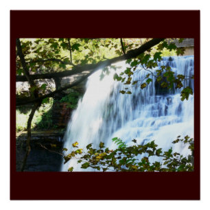 Poster Cascade Tropical Vert Nature Personnaliser