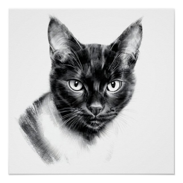 Poster Cat Charcoal (Devant)