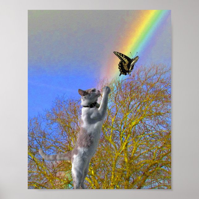 Poster - Cat Chasing Butterfly (Devant)