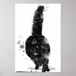 POSTER CAT DE RAGONDIN NOIR DU MAINE -