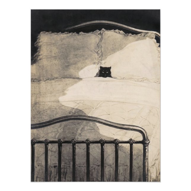 Poster Cat lying in bed Funny Vintage Print (Devant)
