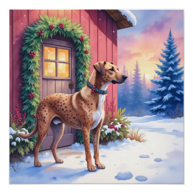 Poster Catahoula Leopard Dog Rustic Barn Christmas Art (Devant)