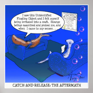 Poster Catch-Release : Les conséquences