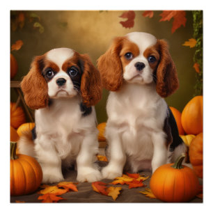 Poster Cavalier King Charles Spaniel Chiot Citrouille d'a