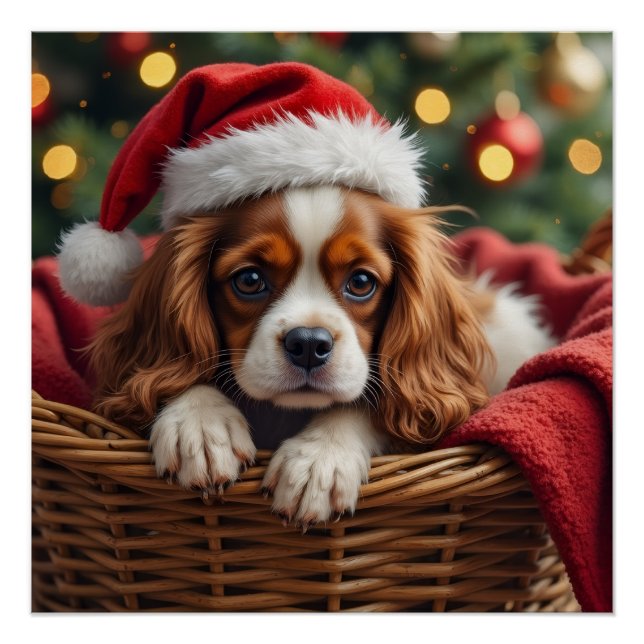 Poster Cavalier King Charles Spaniel Cozy Basket (Devant)