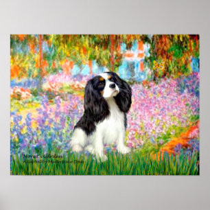 Poster Cavalier King Charles (tricolore) - Jardin